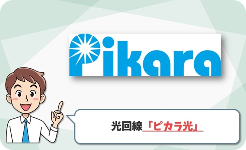 ピカラ光の回線情報