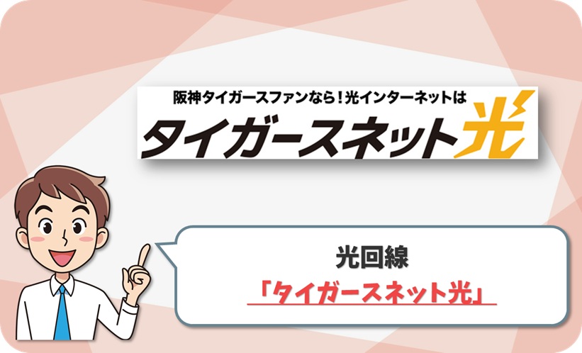 タイガースネット光 の回線情報