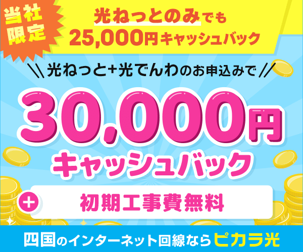 【30,000円】ピカラ光の限定キャッシュバック【代理店限定】