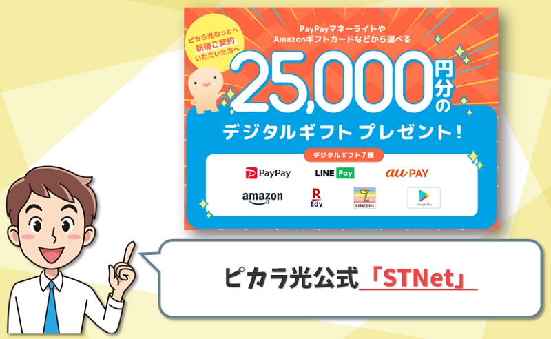 公式サイト（STNet）｜ピカラ光代理店