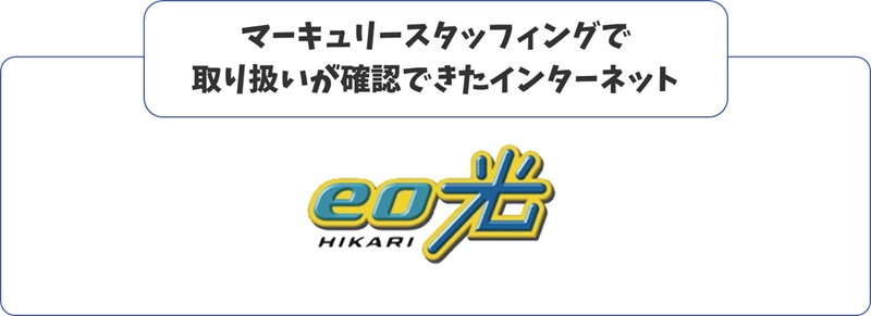 マーキュリースタッフィングの取扱うインターネット