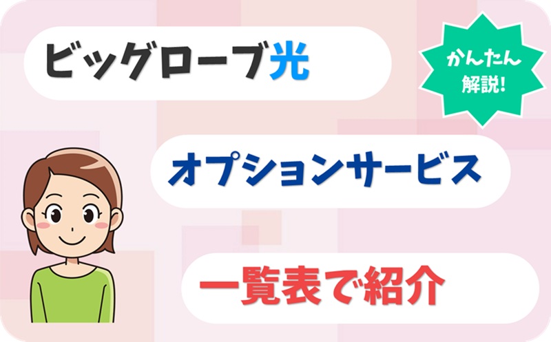 ビッグローブ光のオプションはいらない？必要なものはどれ？