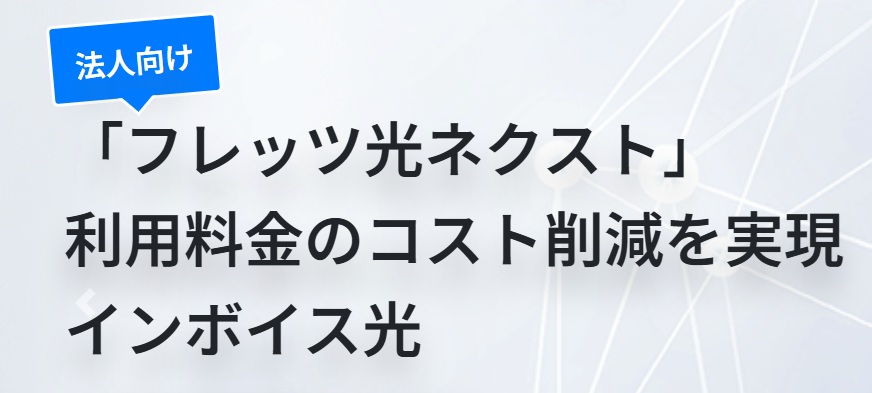 株式会社インボイスのインボイス光