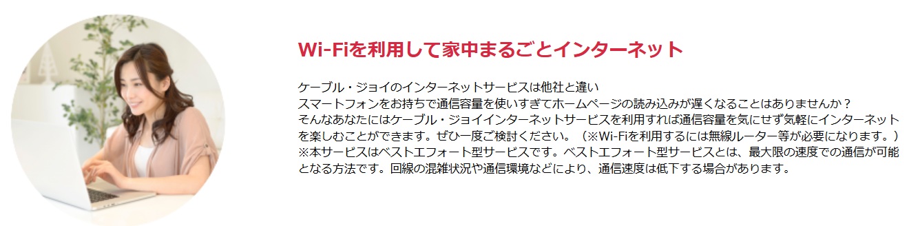 ケーブル・ジョイのインターネット