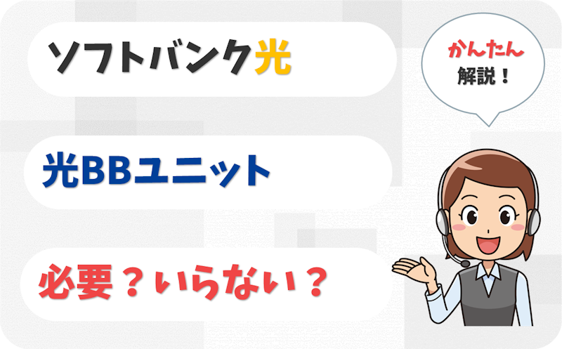 光BBユニットは必要？いらない？使わなければなしでもOK？