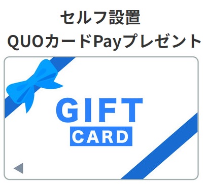 【セルフ設置QUOカードPayプレゼント】